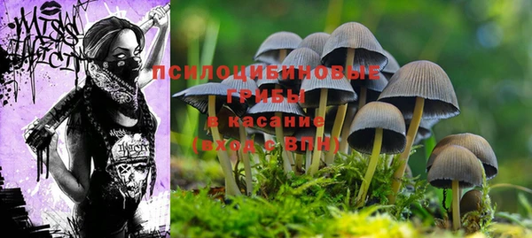 COCAINE Касимов